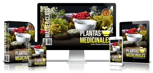 Guía Plantas Medicinales: Usos y Beneficios